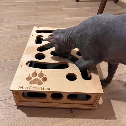 Cat Nail File Enrichment Box