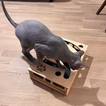 Cat Nail File Enrichment Box