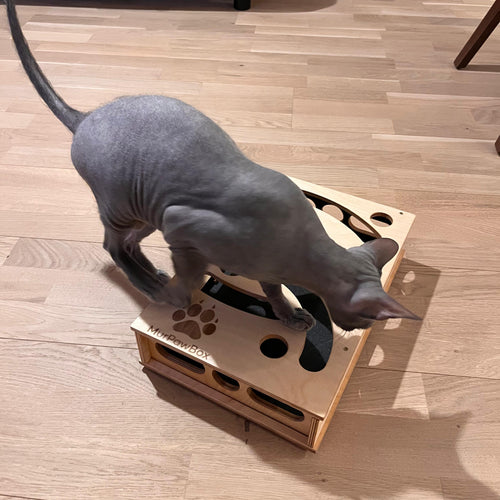 Cat Nail File Enrichment Box