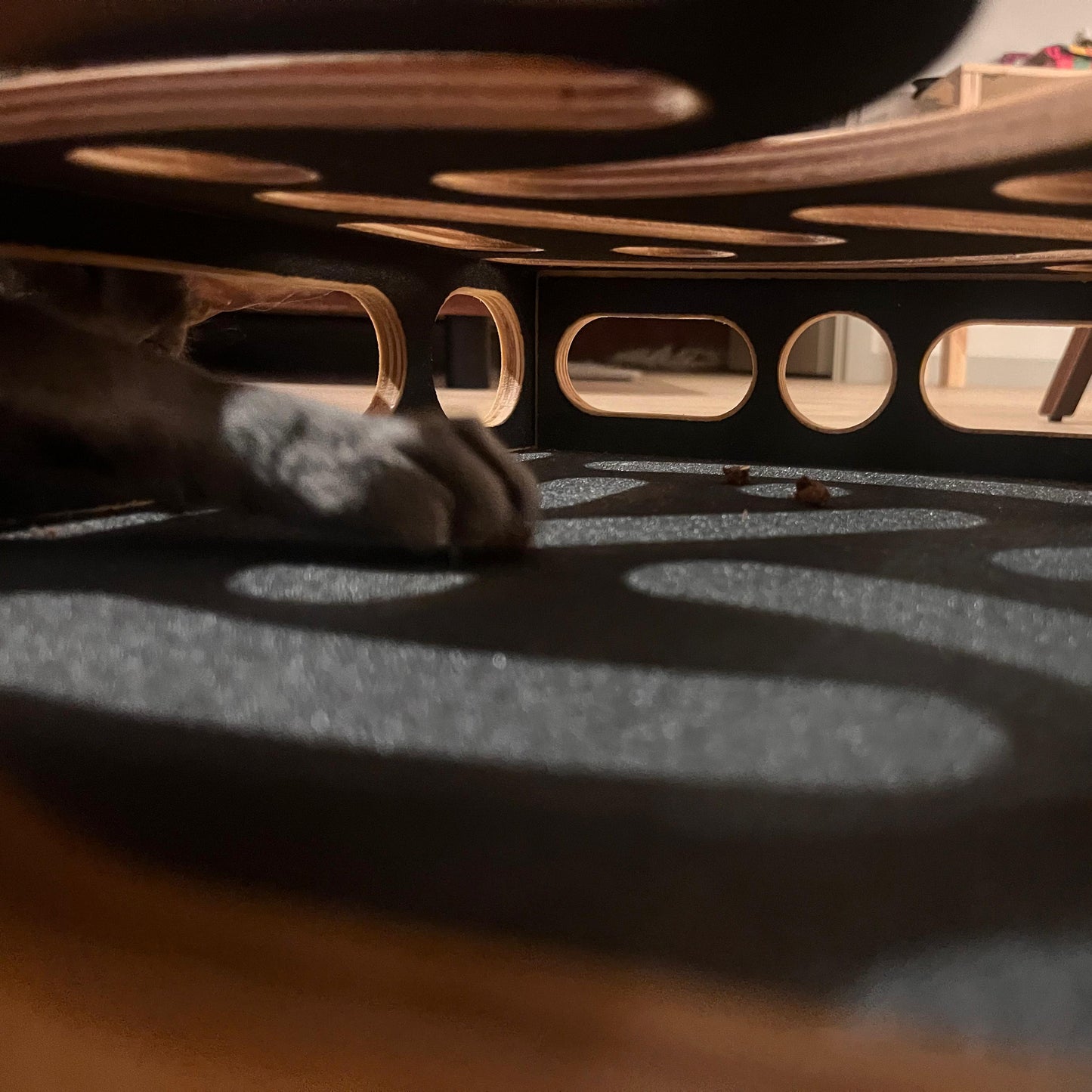 Cat Nail File Enrichment Box